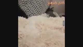 الهی چه نازه استتارشو عشقه