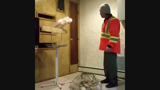 این باحاله خیلی فقد ببین طوطی چی میگه خخخ