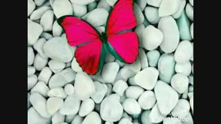 بیاین توضیحات