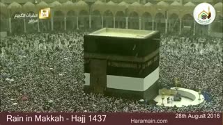 شروع رویایی حج امسال با باران در مکه-8 شهریور 1395