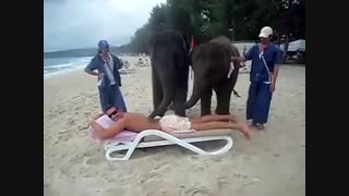 ماساژ توسط فیل های وووروووجک