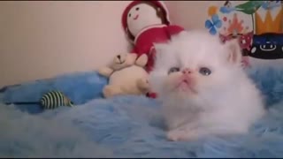 ^.^ اووووووخیییییییی چه نازه ^.^