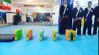 هاپکیدو - خیز طول هنرجوی استاد محسن نقیبی