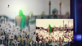 یاران مهدی عج - علی اکبر رائفی پور -  پناهیان- thaer.ir