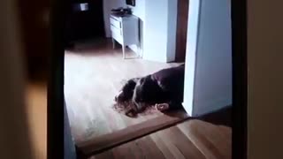 ! ! ! ! !  ! !فیلم کوتاه ترسناک !  cam closer !   ! ! ! ! ! !