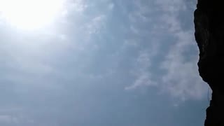 رقص گل آفتاب گردان
