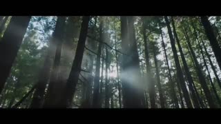 تریلر رسمی فیلم سینمایی اژدهای پیت 2016 - Pete's Dragon