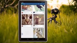 نرم افزار اینستا سیو