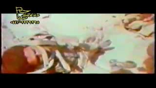 مداحی فوق العاده زیبا ردِ پـای شهدا تو زندگی ها گم شده! |با صدای کربلایی مجتبی رمضانی