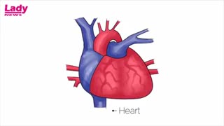 تشخیص بیماریها از روی رنگ لب افراد