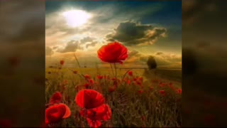 آهنگ عشق زمینی حامد عبدالهی