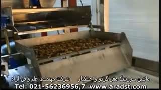 ماشین سورتینگ مغز گردو و خشکبار   شرکت مهندسی علم وفن آراد