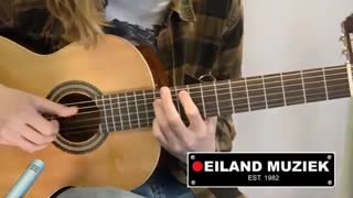 گیتار کلاسیک الحمرا 1c