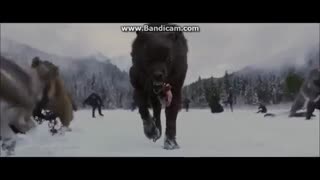 (Wolves - Madness in me(Skillet