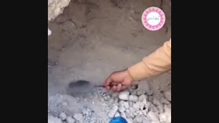 خاک سفید شیره انگور