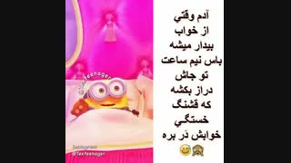 سیزده دانستنی جالب