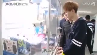 Superjunior