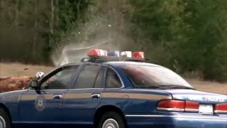 فیلم جذاب و ترسناک مقصد نهایی2-دوبله فارسی-کیفیتHD-پارت2