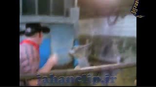 مگه مجبوری مرد حسابی