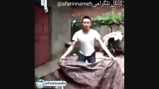 ضایع شدن شعبده باز توسط کودک