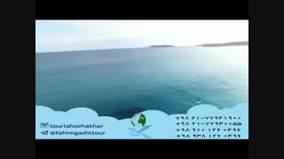 خدمات ویزا و ویزای شینگن در آژانس مسافرتی فهیم گشت تهران