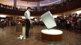 با سلطان تعادل جهان آشنا شوید !