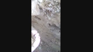 تست شهودی آبیاری زیرسطحی با آبیاری غرقابی بعداز ۲۴ ساعت آبیاری که بطور همزمان صورت گرفت پلاستیک لثه