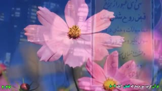 عاقبت پناه بردن سید محمد حسینی مجری فراری به دشمنان حق