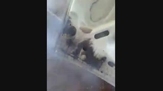 کارواش زاگرس