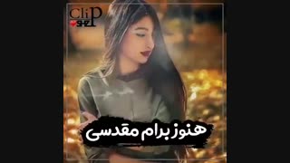مجید علیپور خداحافظ