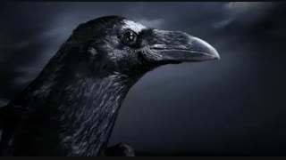 یهودیان((صهیونیست )) چگونه ثروتمند شدن؟