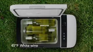 یخچال واقعی برای خودرو!