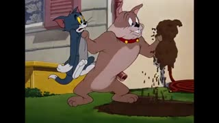 کارتون تام و جری(کی قطع کرد)|Tom And Jerry Who is the Cutest|تام و جری2019