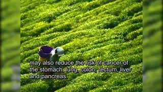 10 سوپر ماده غذایی برای نابود کردن سلول های سرطانی(2)