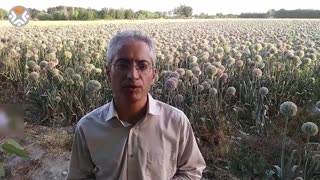 آی خونه دار بچه دار زنبیل و وردار بیار صفت ببر: صفات مخصوص manager