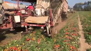 ایستگاه تولید برق  دریایی وماشین الات عجیب در عرصه کشاورزی