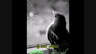 وای باران وای باران