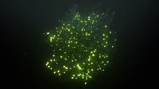 دانلود پروژه آماده افتر افکت نمایش لوگو مولوکولی - Molecule Logo Intro