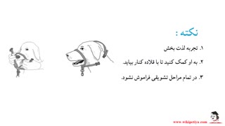 کشیدن قلاده توسط سگ