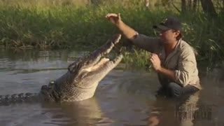 دوستی انسان با کروکودیل