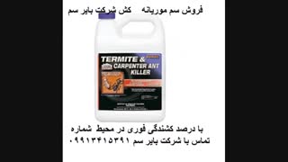 سم بسیار قوی سم موریانه کش بایر سم