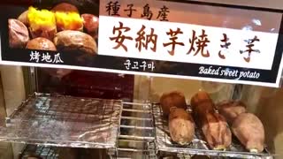 شهر کاگوشیما (ژاپن) - Kagoshima City