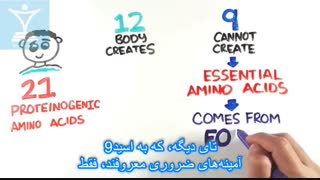 چقدر پروتئین برای عضله سازی نیاز داریم؟