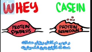 تفاوت وی و کازئین