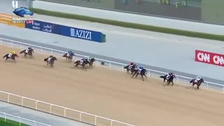 Dubai World Cup 2019- Race 2