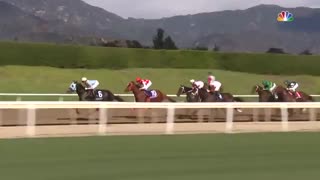 Breeders' Cup  Sprint