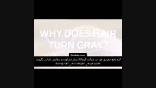 کرم رفع سفیدی مو ۰۹۱۲۰۷۵۰۹۳۲