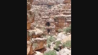 رزرو بلیط هواپیما