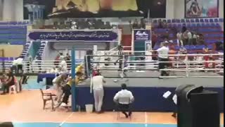 مهدی وحدانی خواه