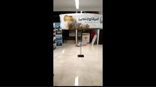 مانند خورشید، بدرخشید.